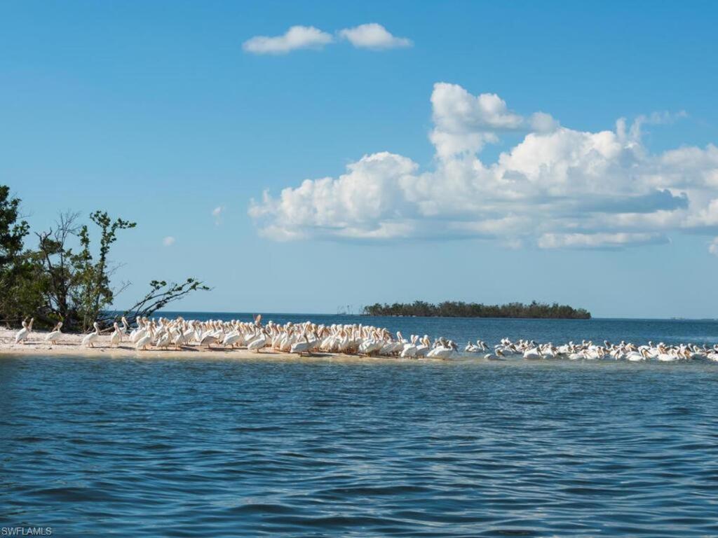 Marina Getaway On The Water! Apartment North North Naples Екстериор снимка