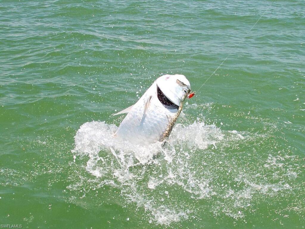 Marina Getaway On The Water! Apartment North North Naples Екстериор снимка